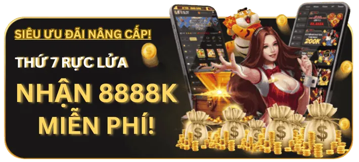 Hoàn trả VIP