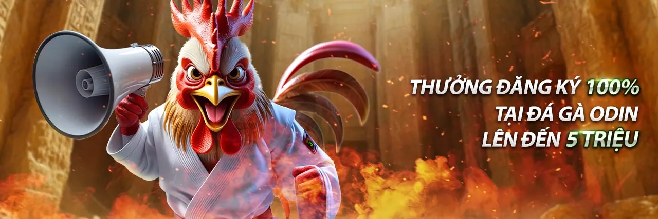 Hình ảnh khuyến mãi độc quyền Đá Gà Trực Tiếp 67